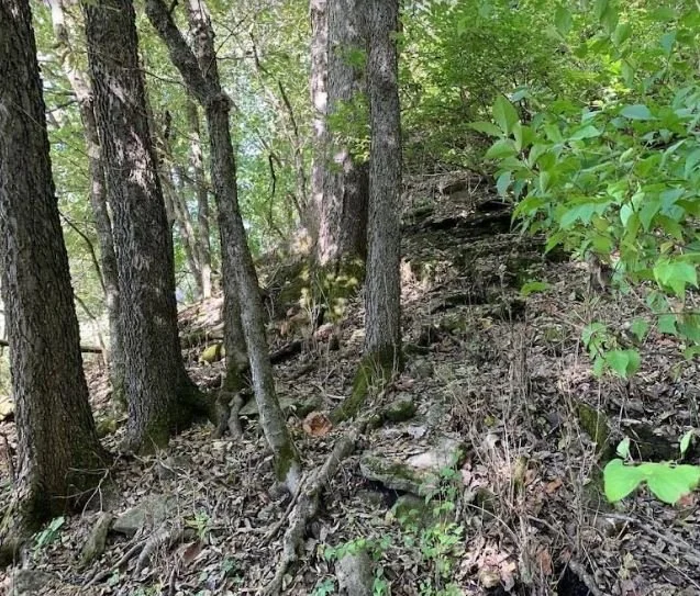 Watson Conservation Easement