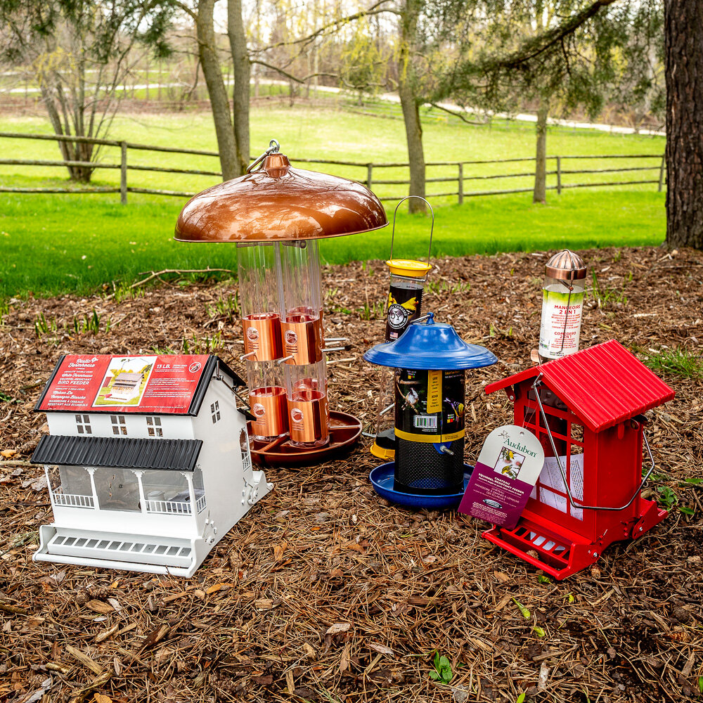 bird feeders-7.jpg