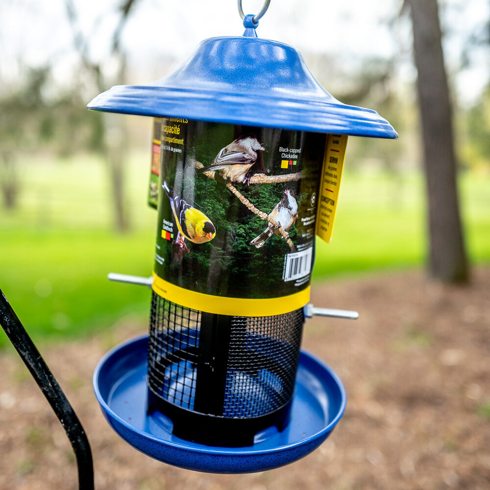 bird feeders-1.jpg