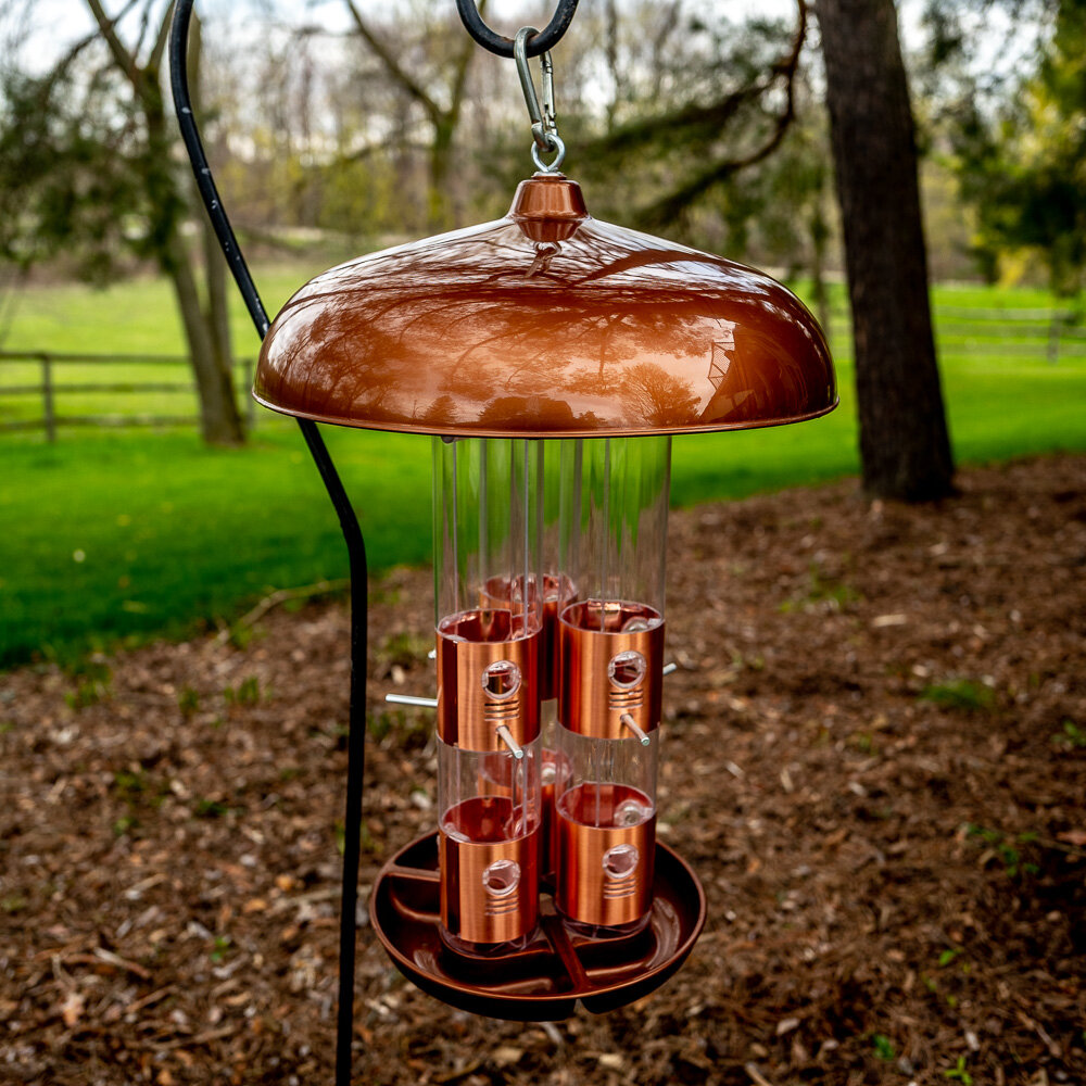 bird feeders-6.jpg