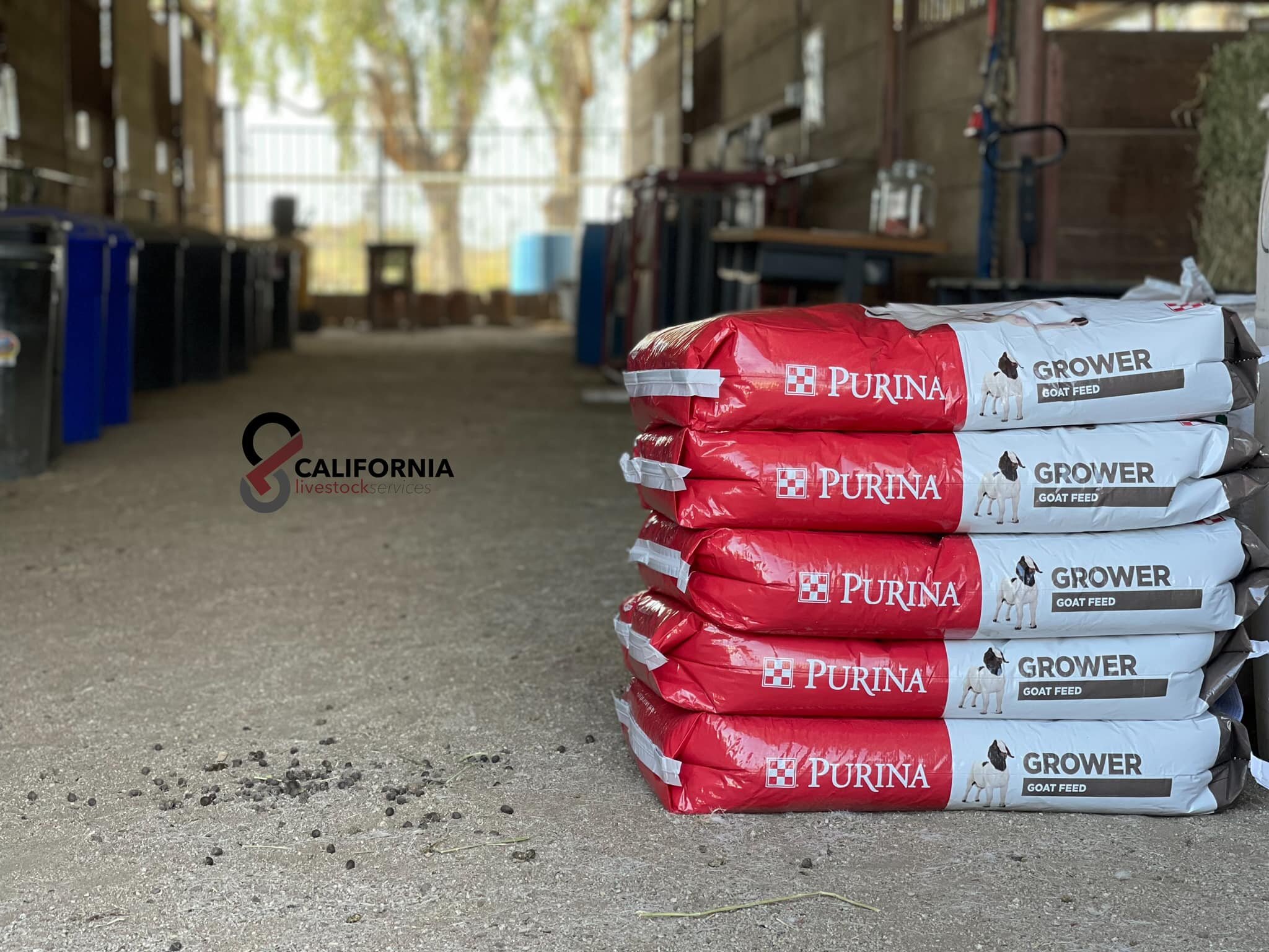 Show Feeds delivered on Saturdays. 

Sure starting to feel like Summer!

https://www.calivestockservices.com/shop/purinagoat-grower-16-dq-0015