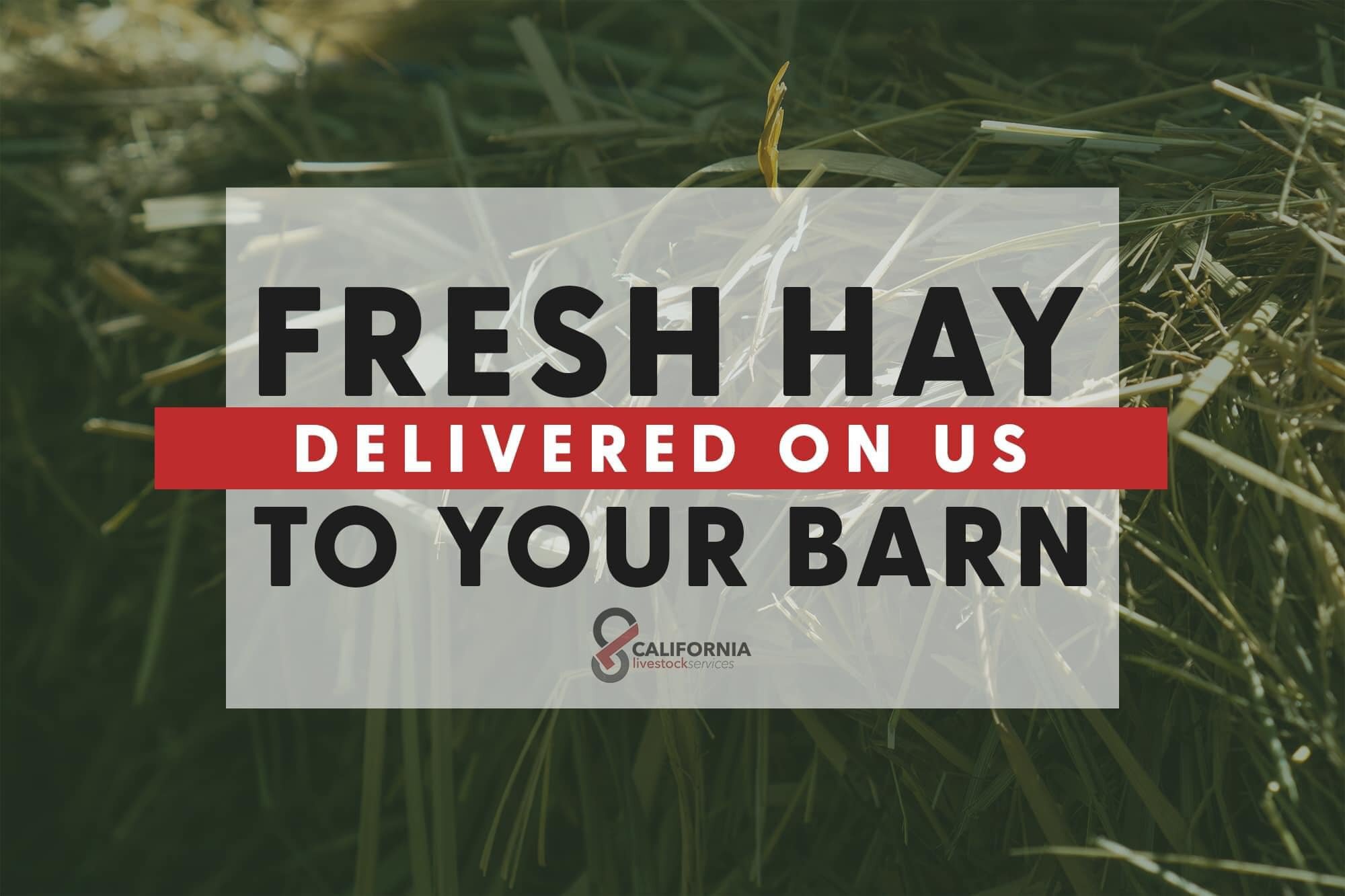 Where else can you get FRESH hay with FREE delivery? 

🌱 Oat
🌱 Alfalfa
🌱 Timothy
🌱 Alfalfa/Orchardgrass
🌱Wheat
🌱Orchardgrass

Let us earn your business this hay season! 

📲 (559) 740-2422

#CLS #freshhay #hayseason #golocal