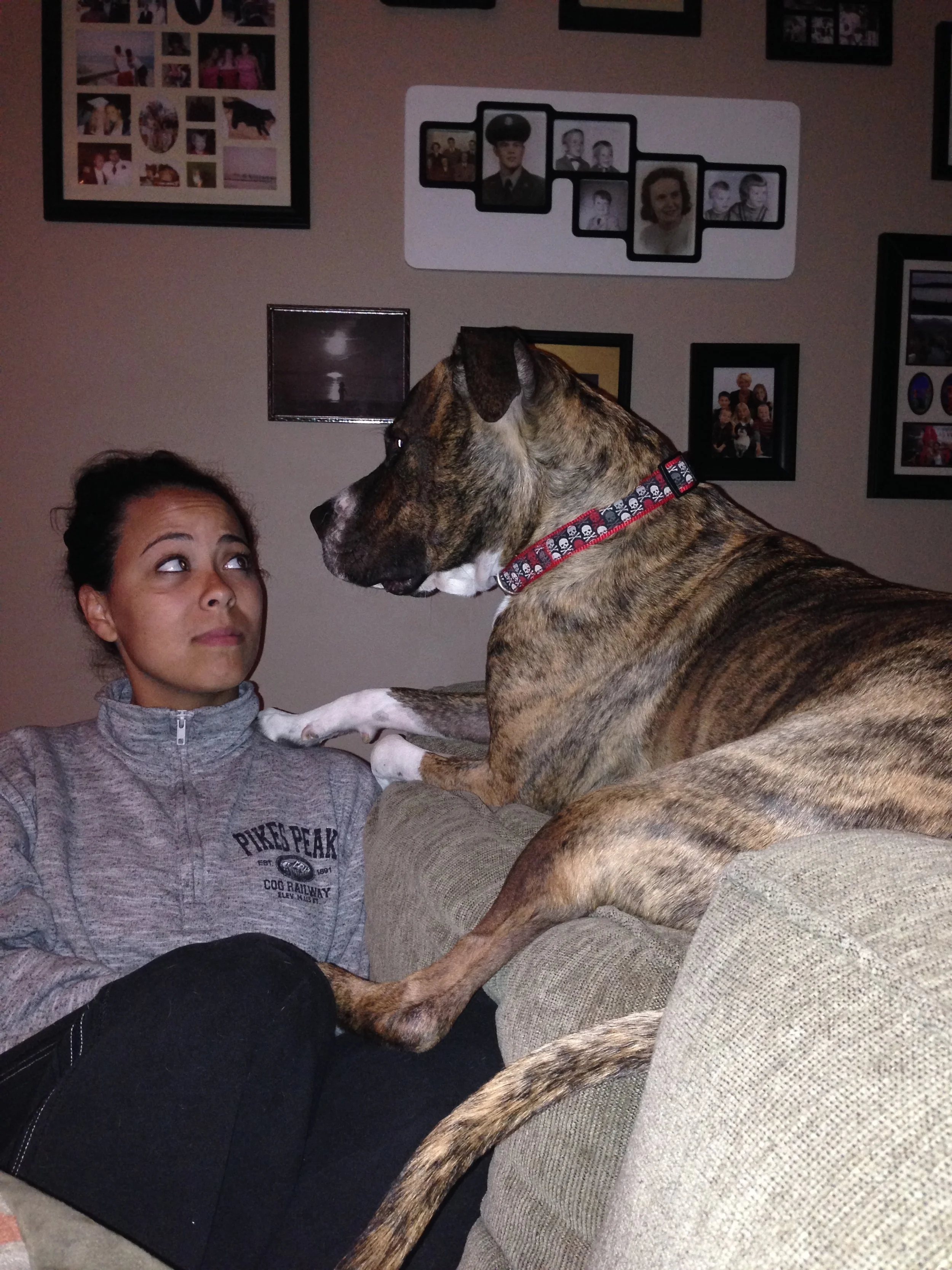 If I Sitz, I Fitz: Vol 2