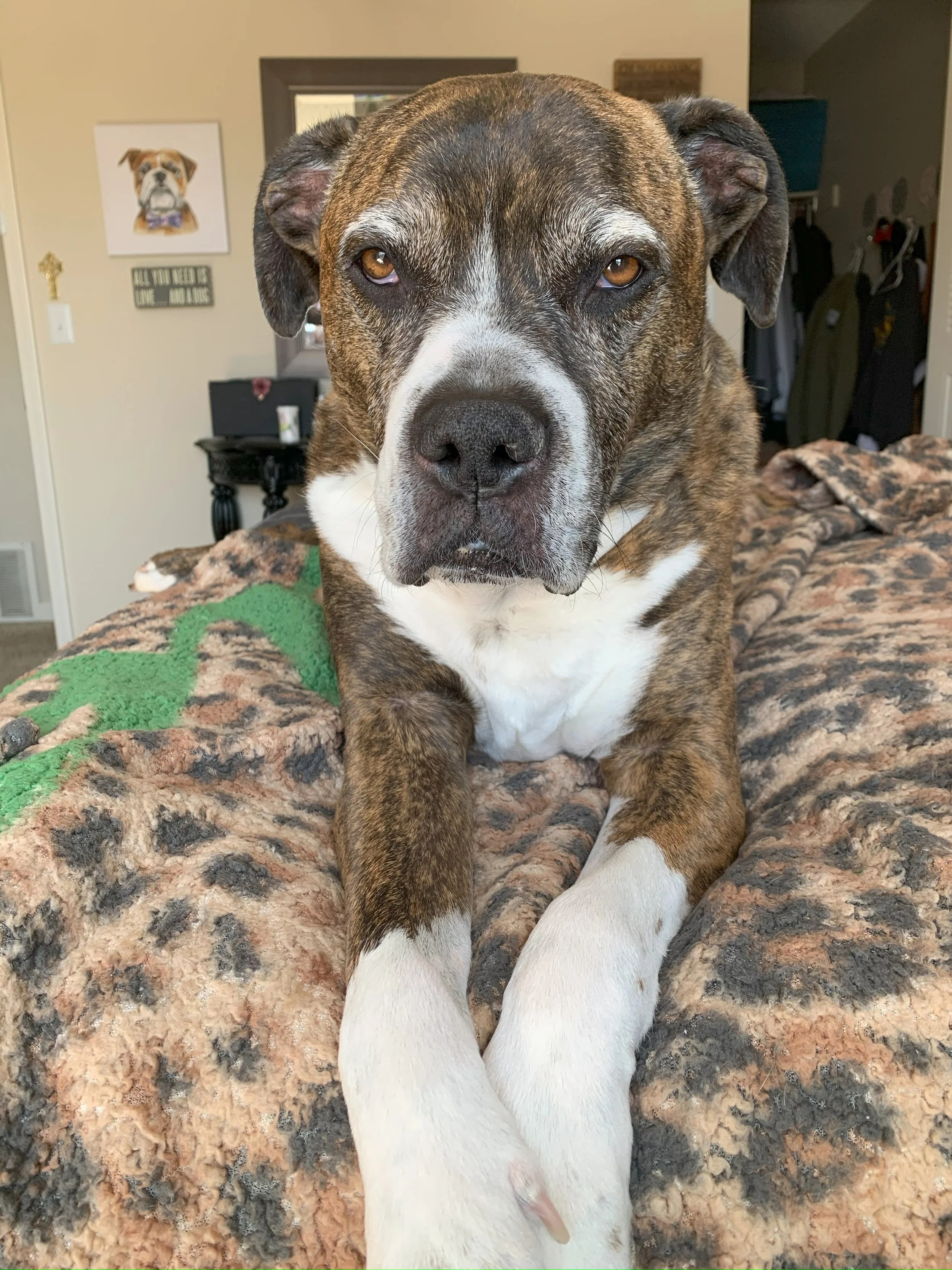 My Stoic Little Love: Vol 2