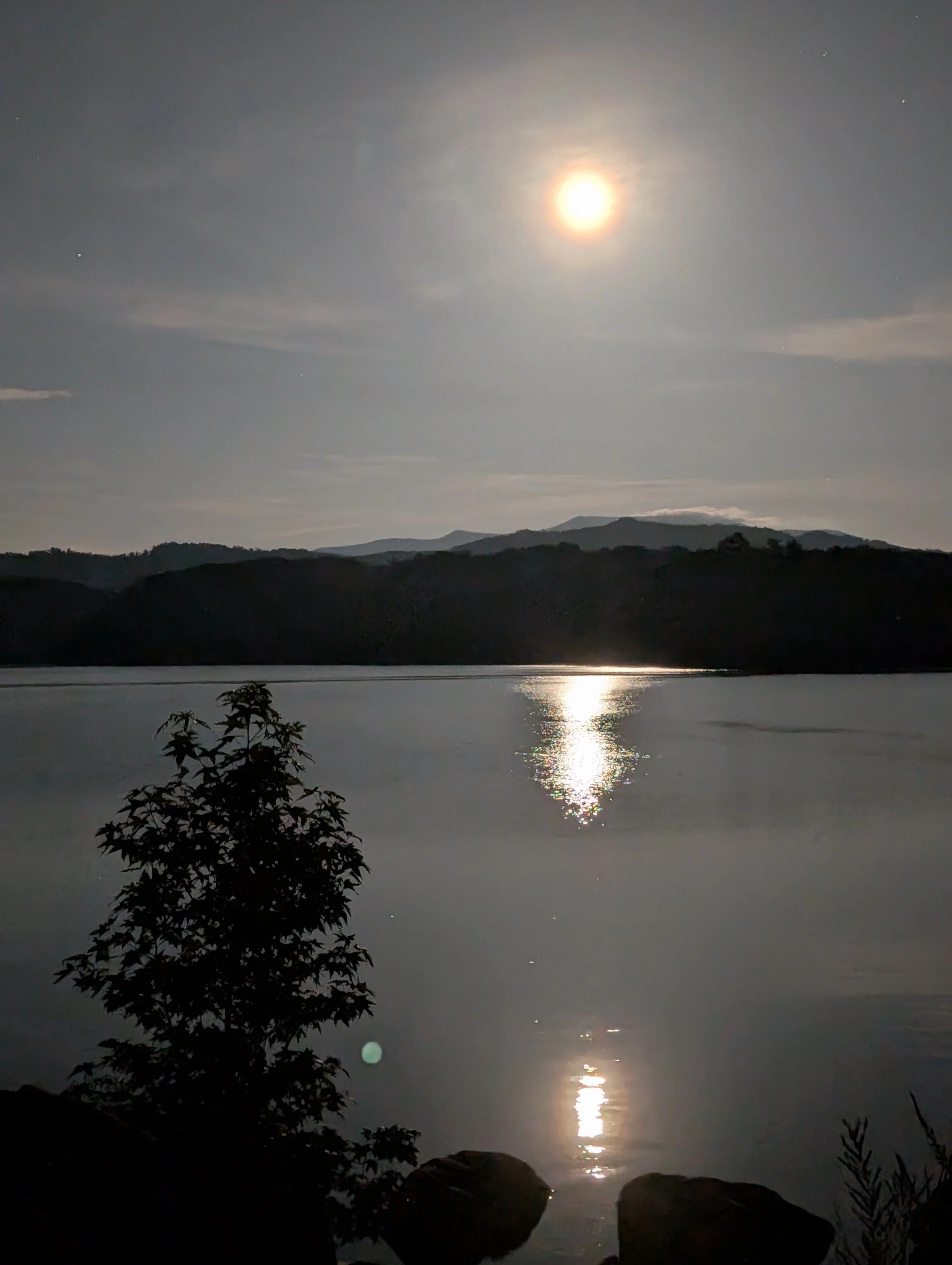 PXL_20250711_024253190.NIGHT~2.jpg