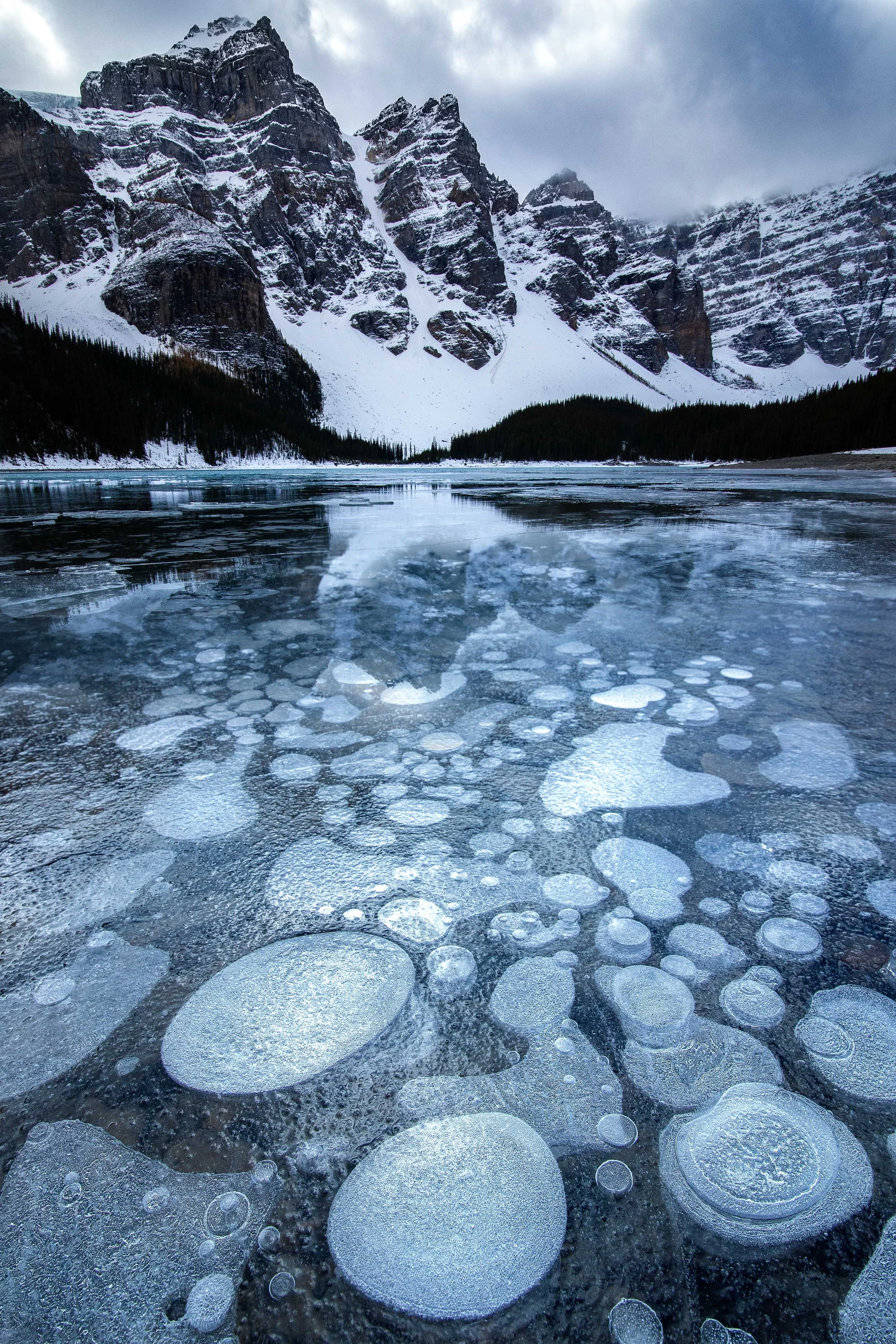 Bubbling Beauty