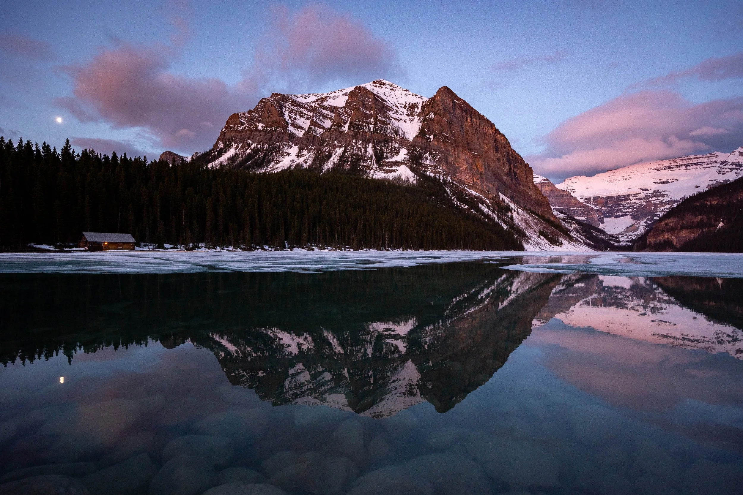 Dawn Delight