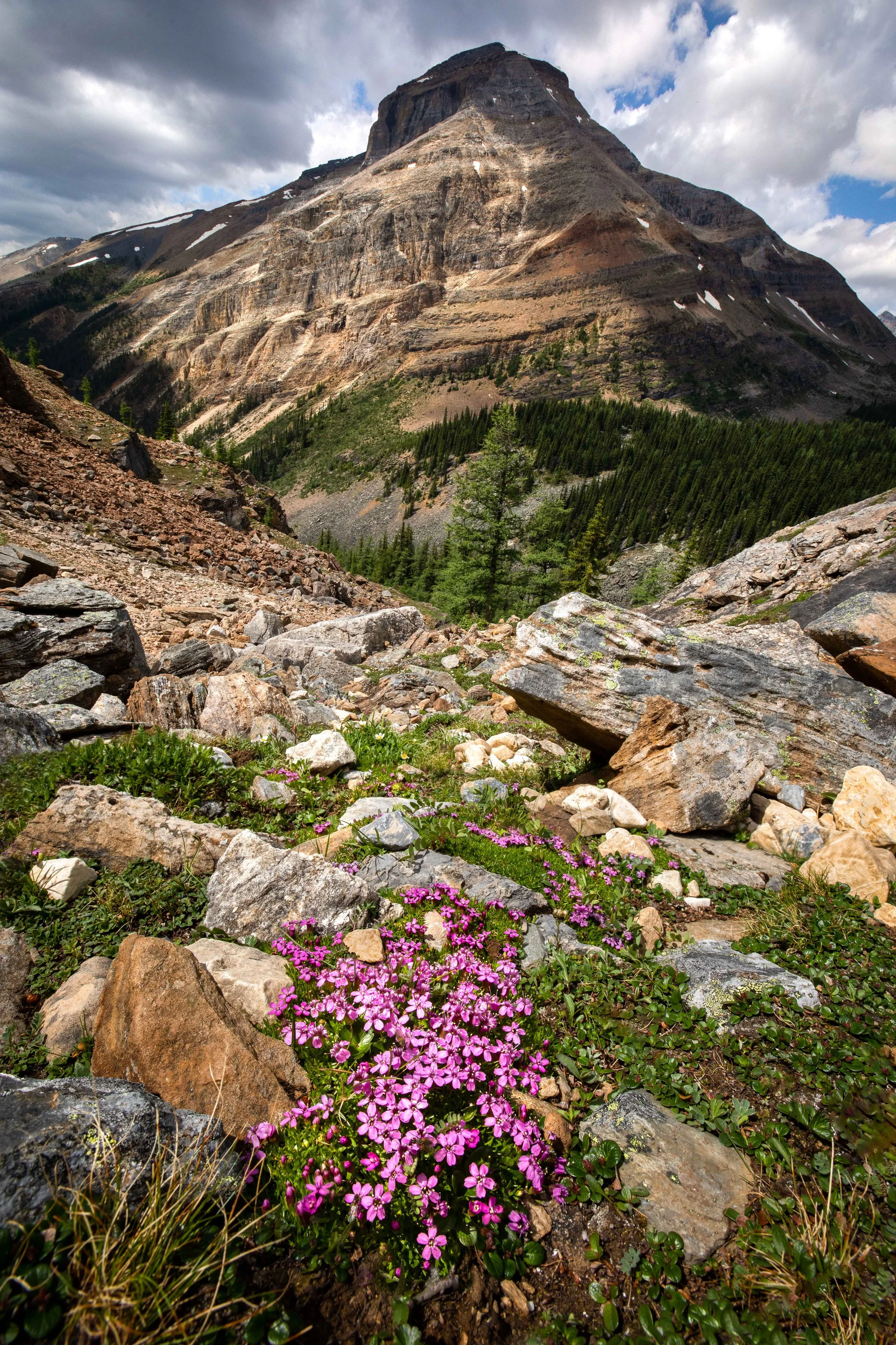 Hidden delights
