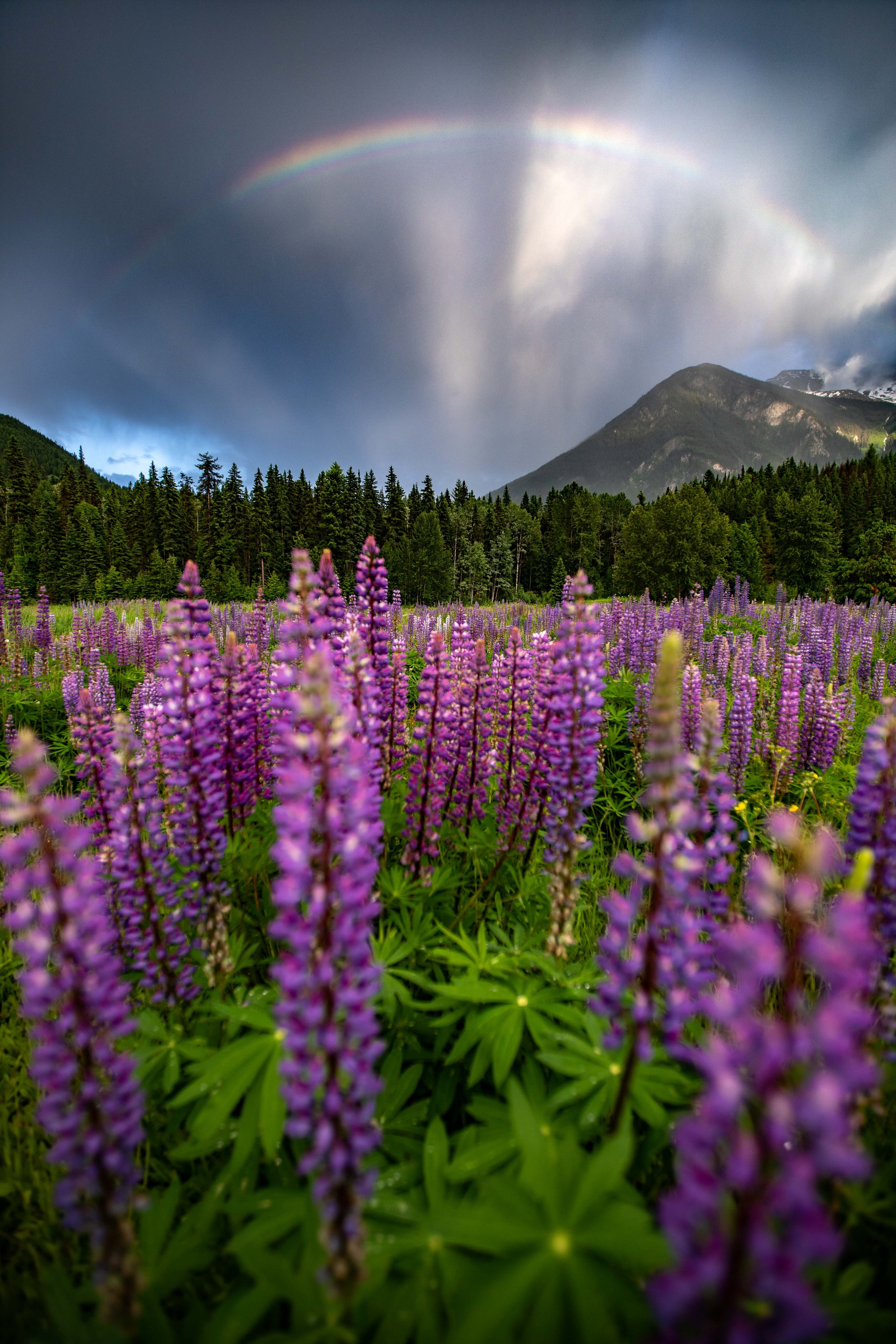 Kahli-April-Photography-Tranquility.JPG