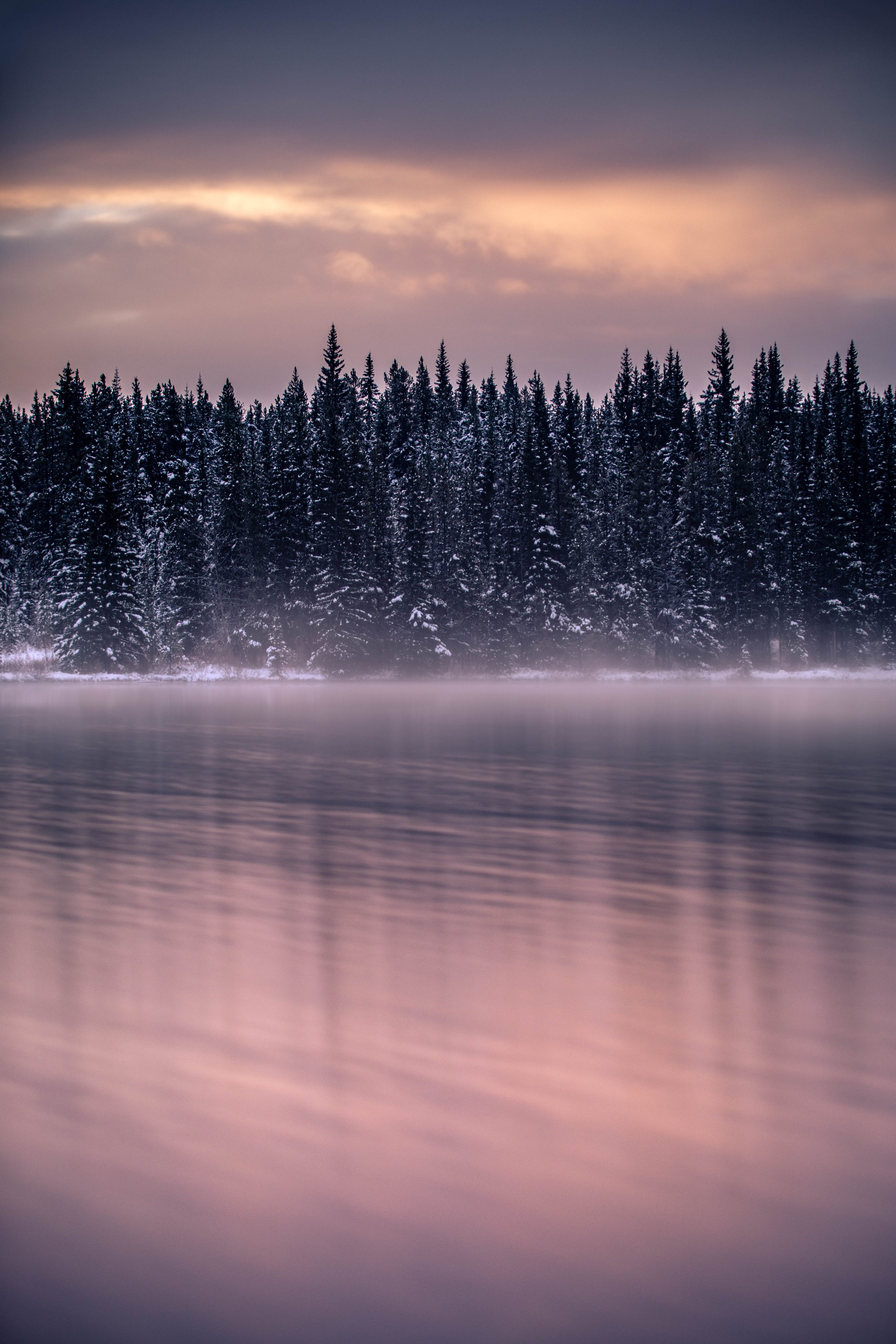 Kahli-April-Photography-mystic-morning.JPG