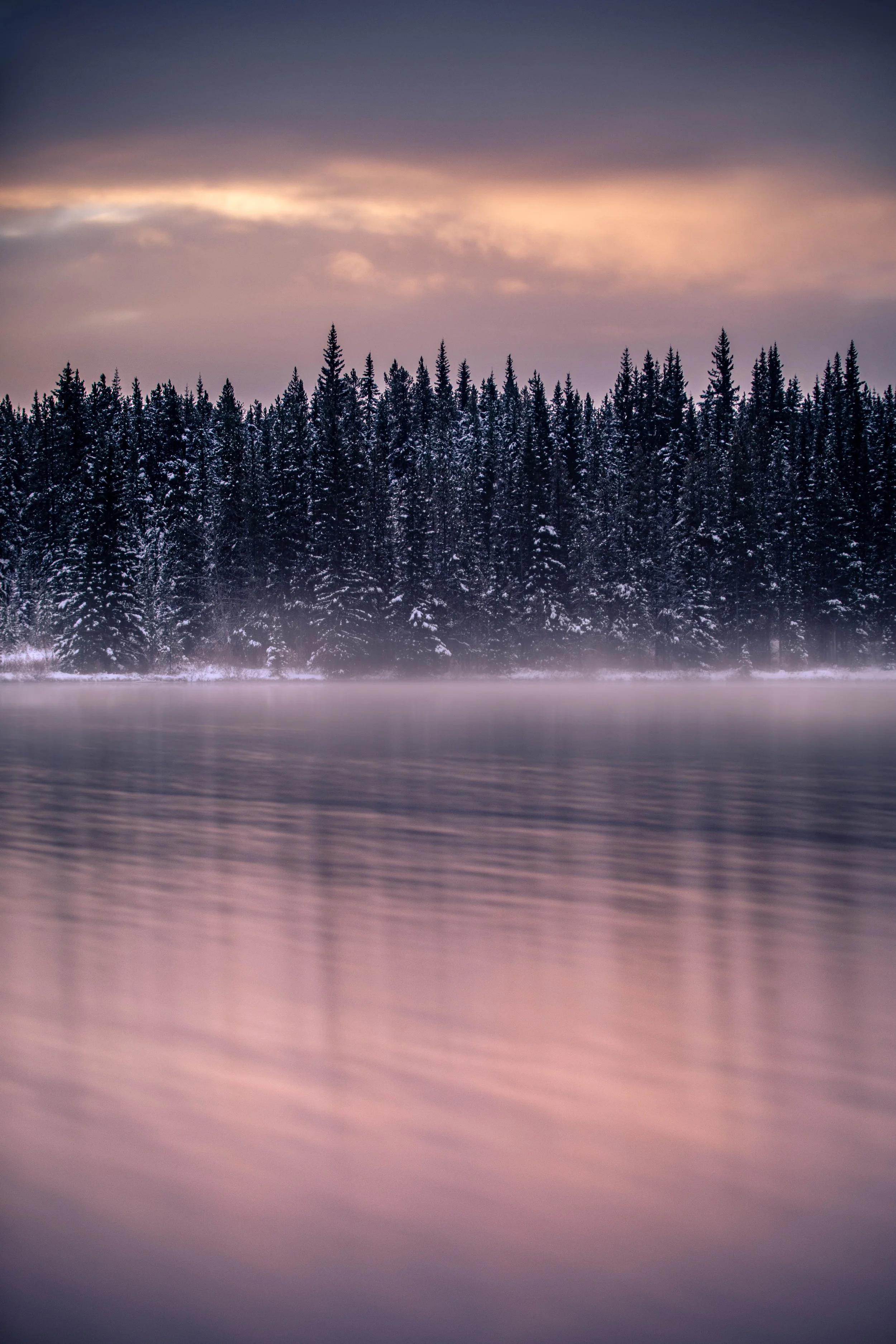 Mystic Morning