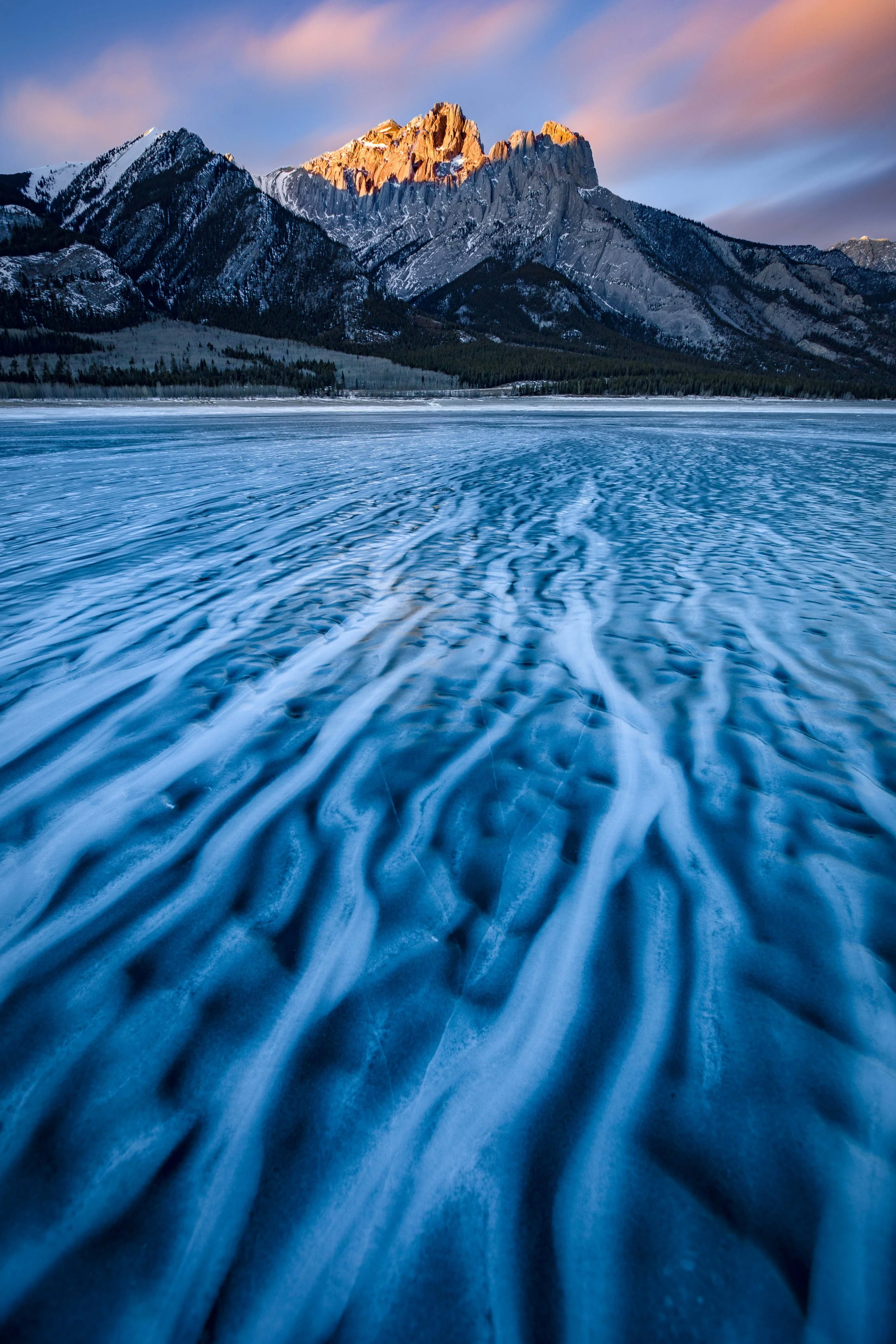 Kahli-April-Photography-veins-of-winter.JPG