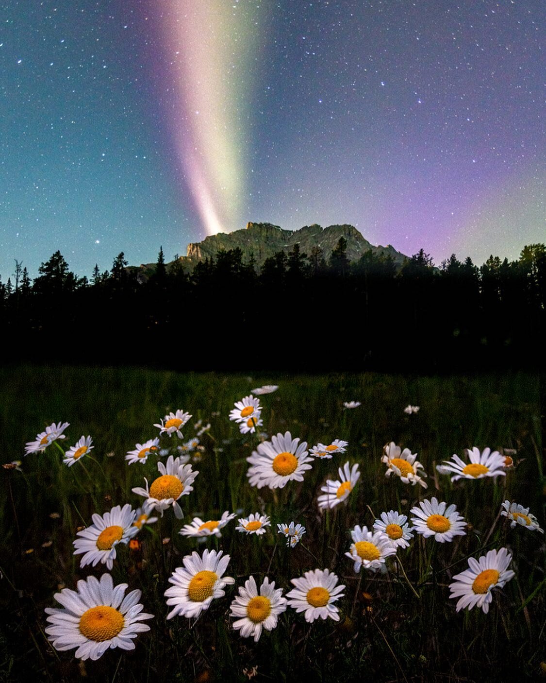 Last night's aurora display in the mountains was a beauty! 
I was running on very little sleep after a couple of days camping in the backcountry so finding the motivation to head out again from 12-3am was tough but the view made it worth the extra ya