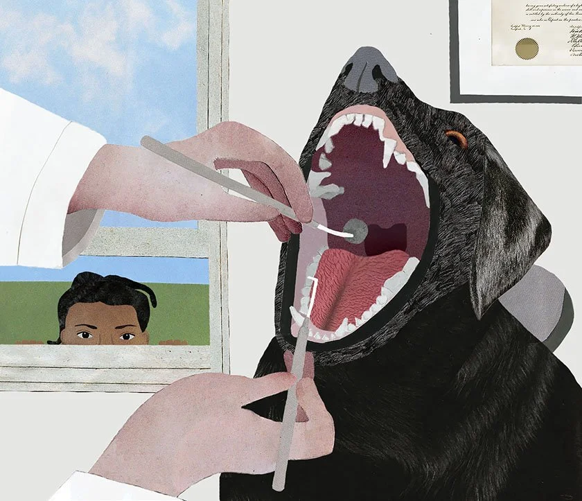 Maya Angelou Denied Treatment by Racist Dentist