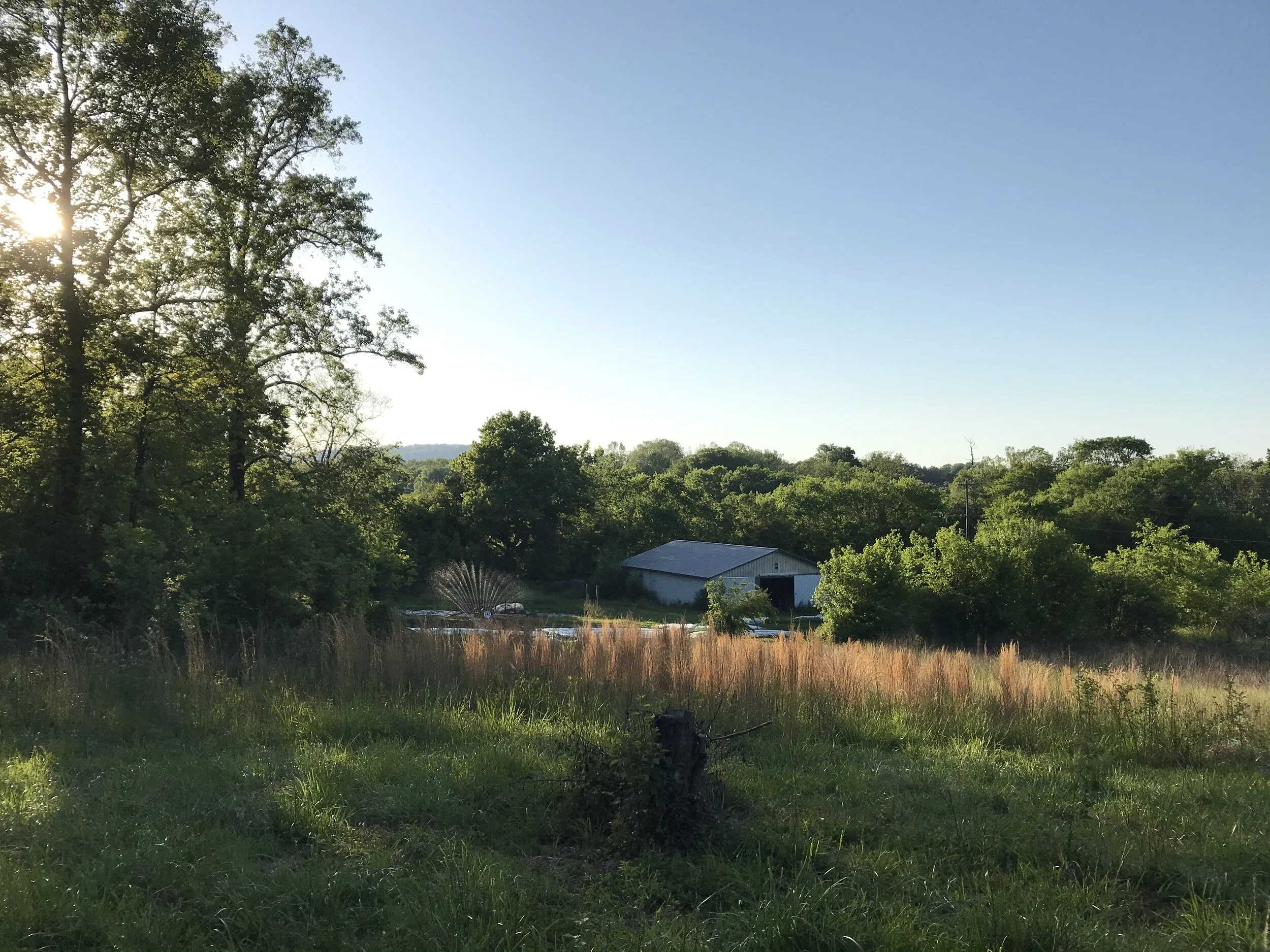 2020-05-02 19.17.53.jpg