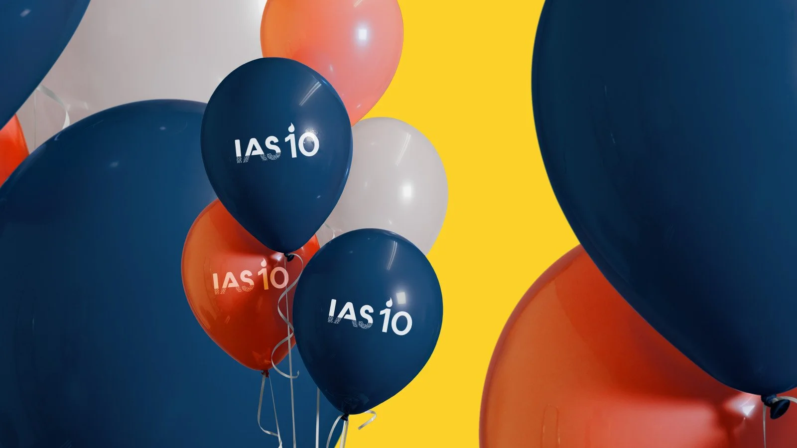 ias10_9.jpg
