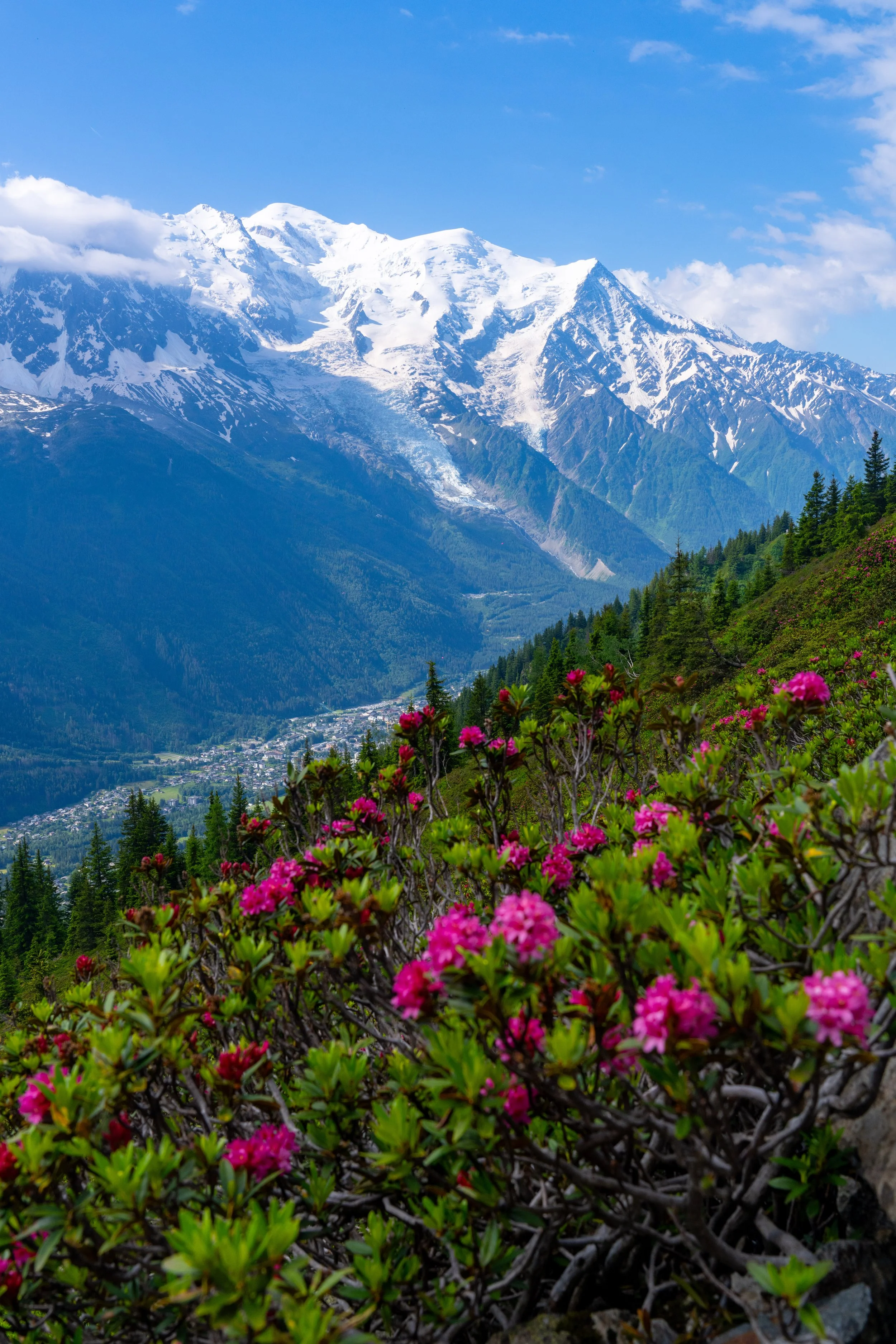 Chamonix and Aosta Valley