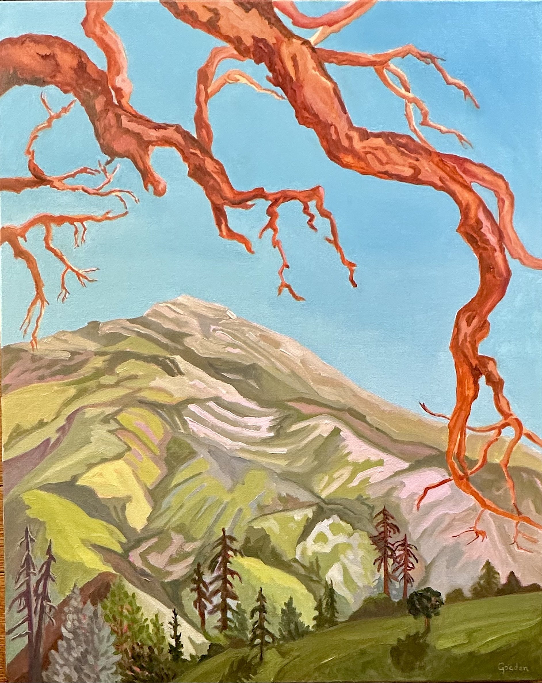 Pico Blanco, Big Sur 2025