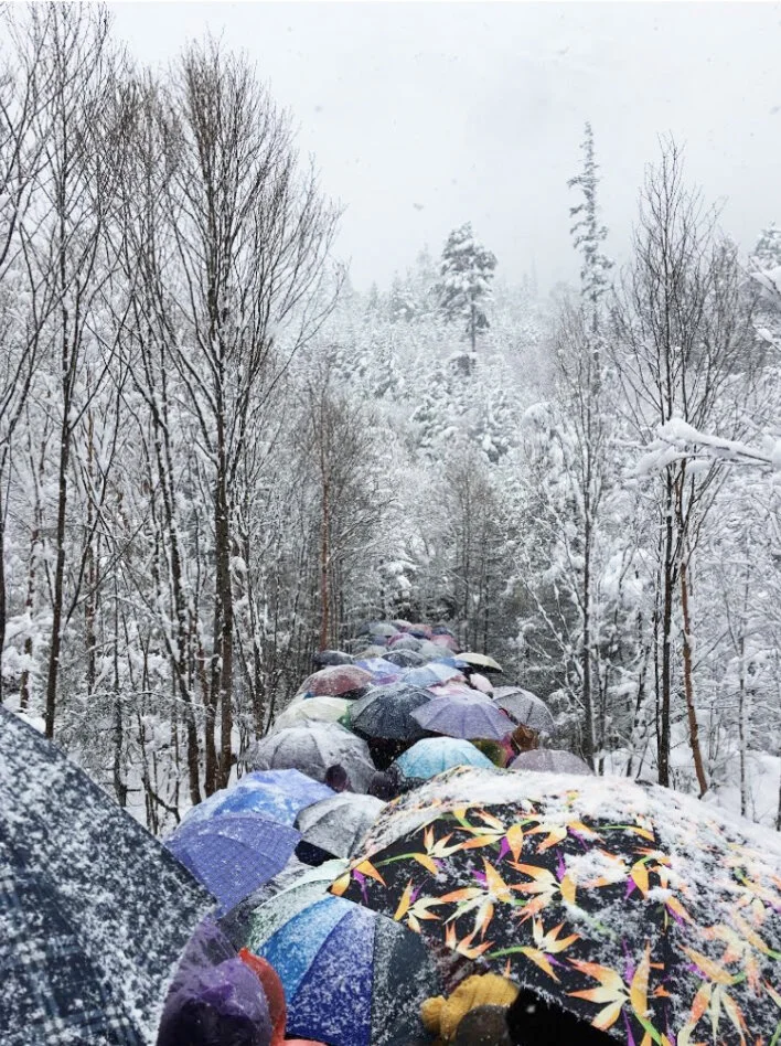 Tourists hold up umbrellas to shield themselves from the falling snow at Jiuzhaigou National Park in China on March 29, 2016. The park is located in Sichuan Province in the southwestern region of China. Photo by Eric Fang