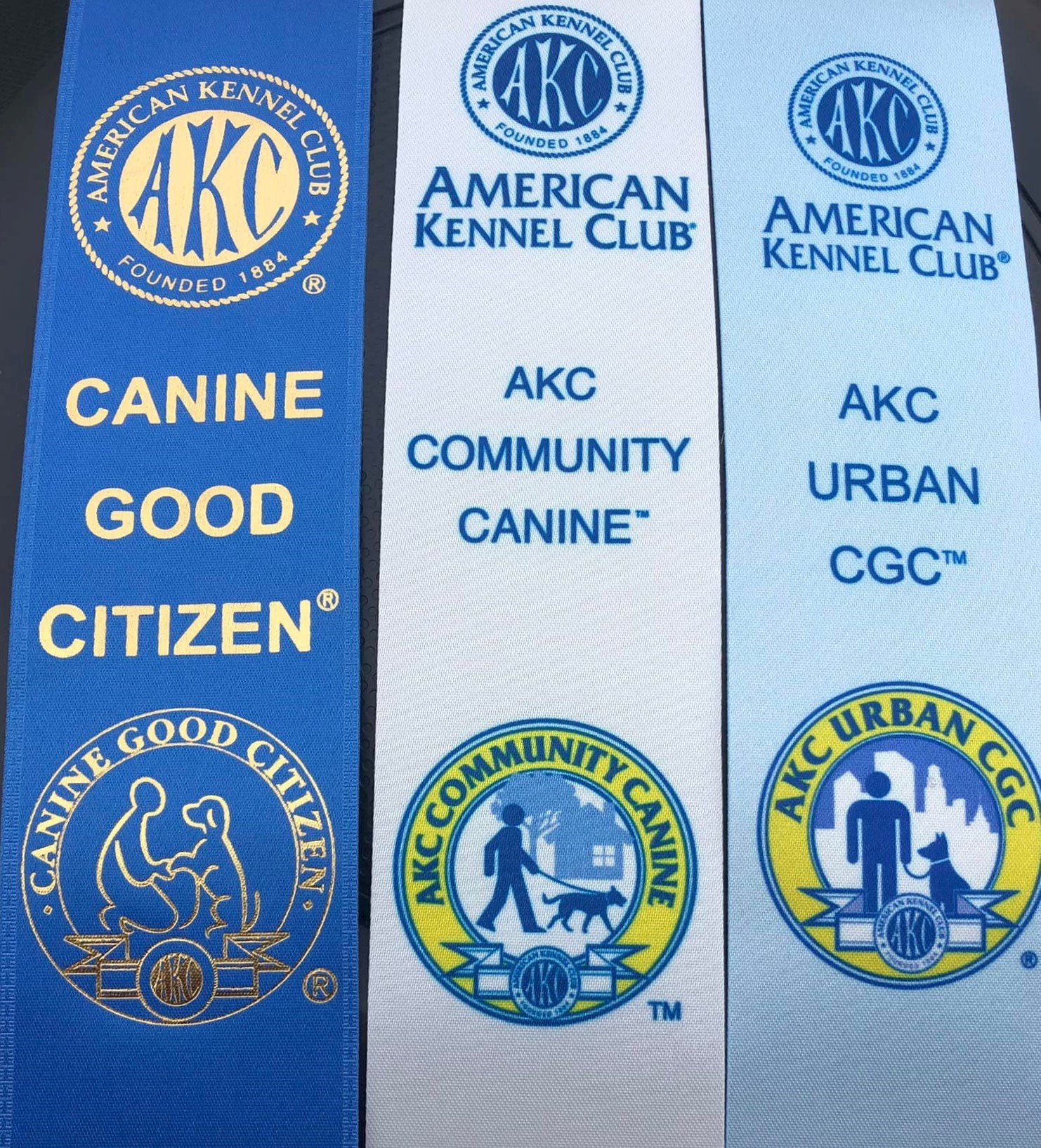 Is Your Dogo a Canine Good Citizen? — Dogo Argentino Club of America