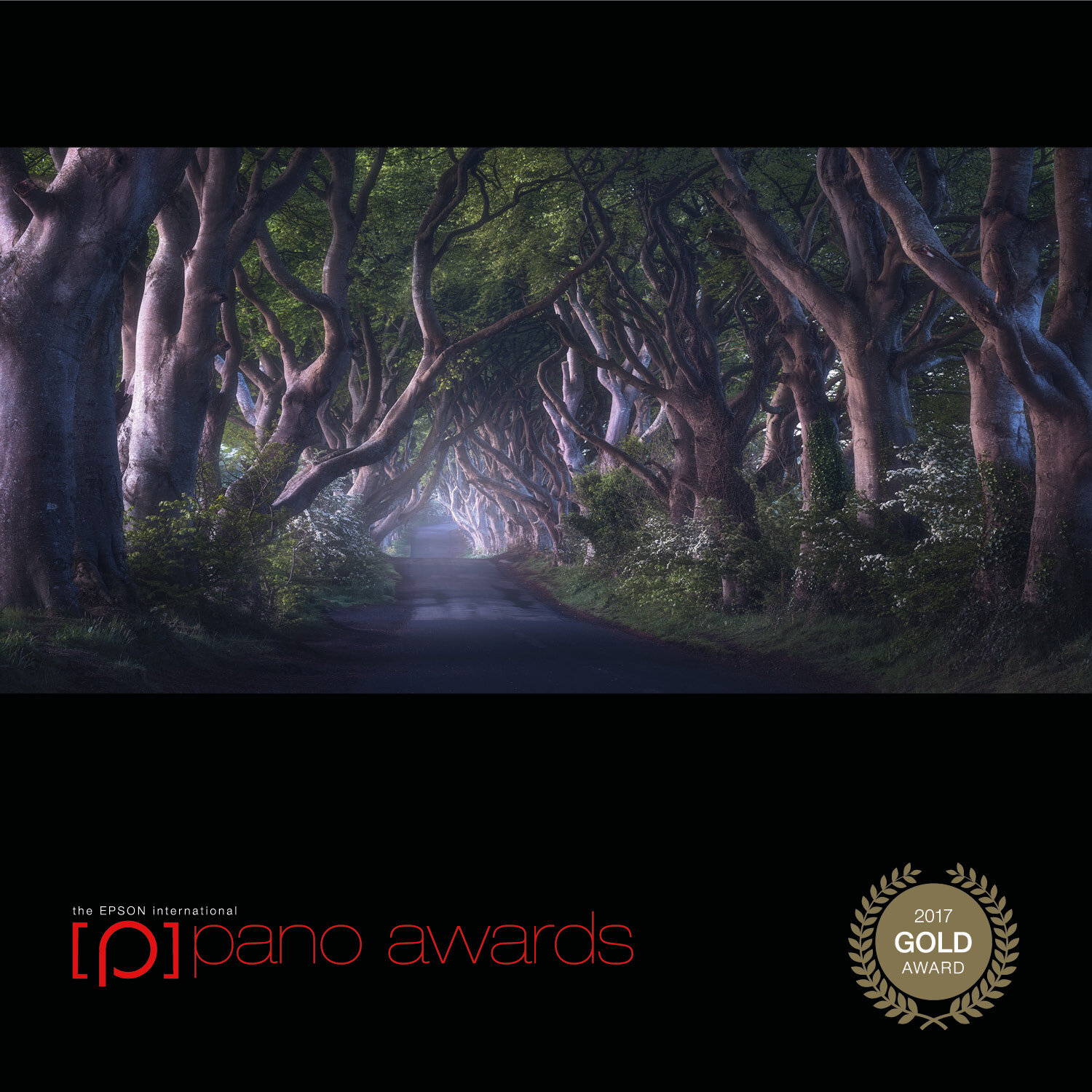 2017-Epson-Pano-Awards-Amateur-Gold37.jpg