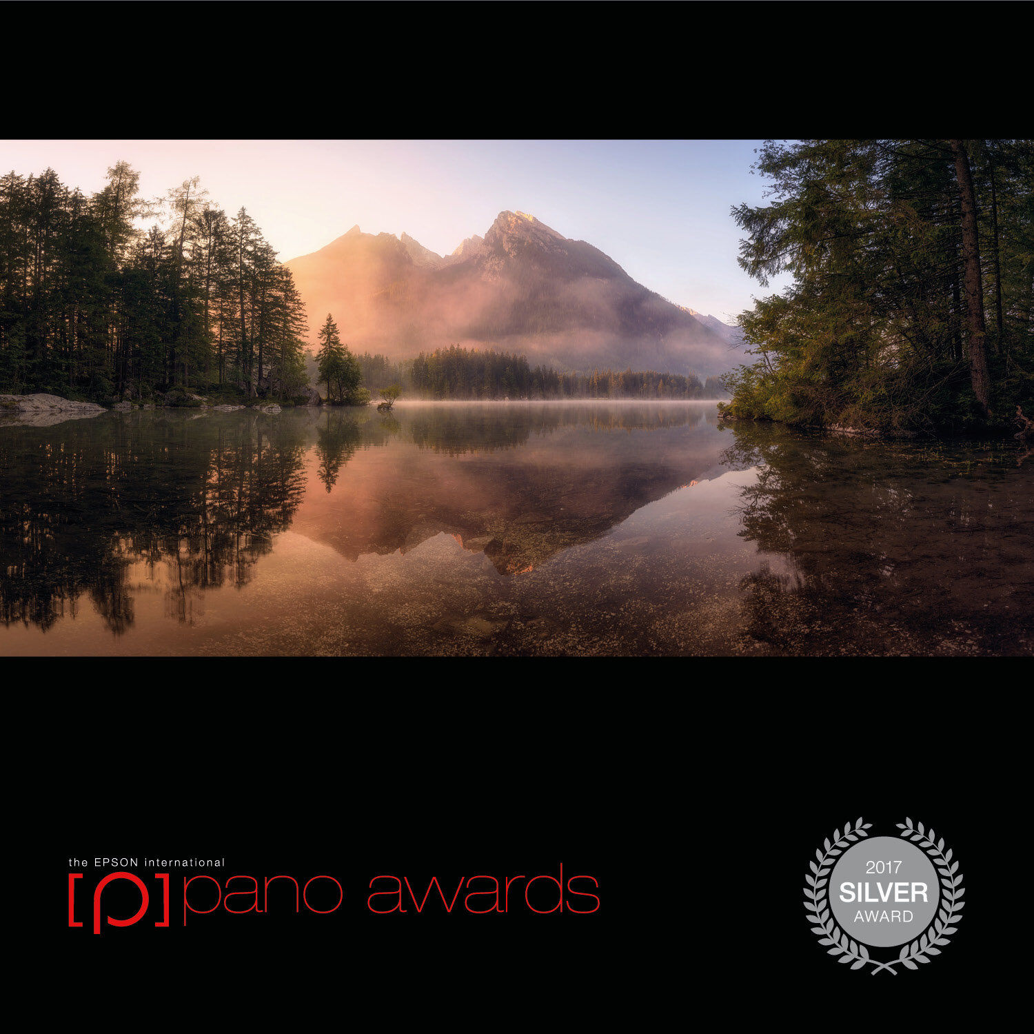 2017-Epson-Pano-Awards-Open-Silver124.jpg
