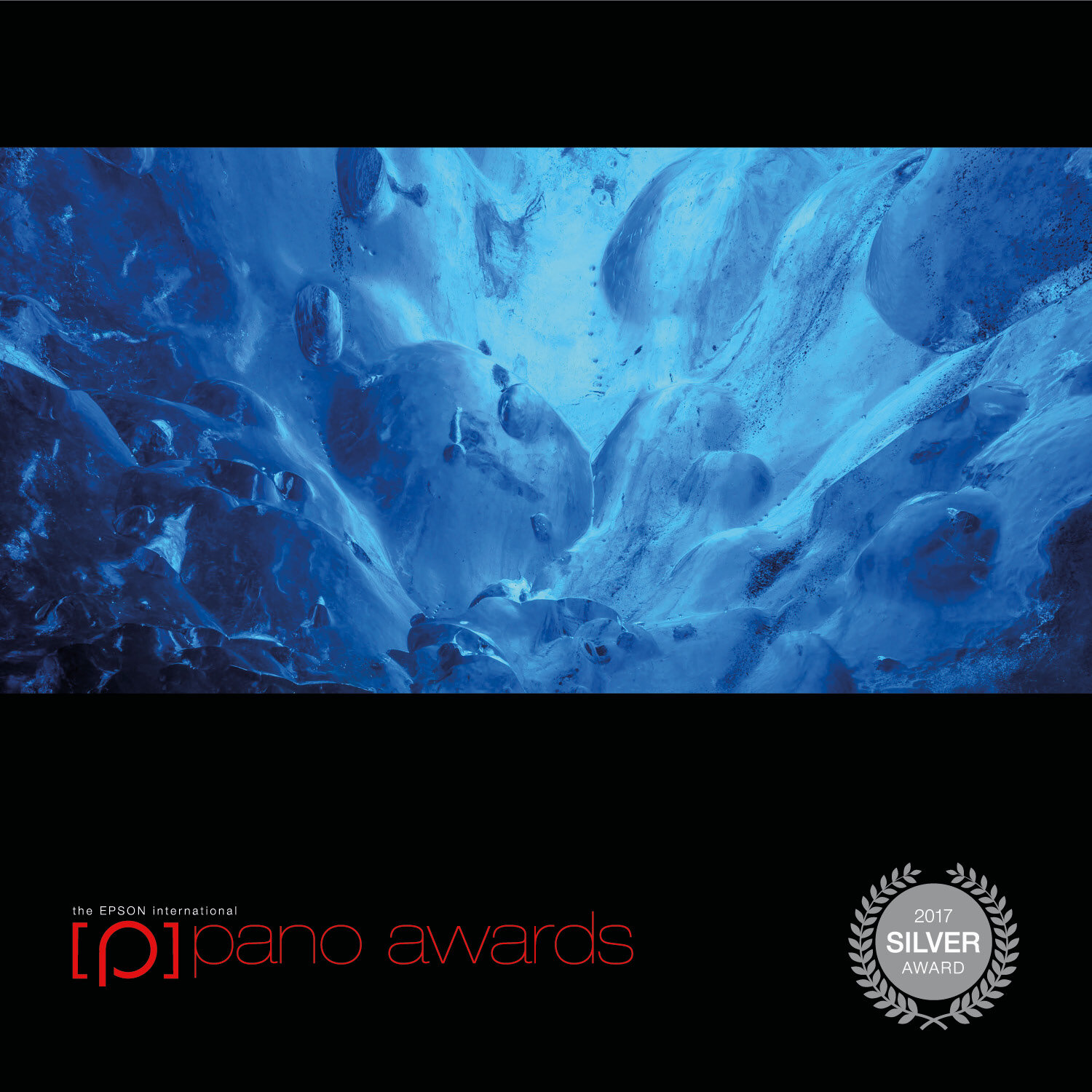 2017-Epson-Pano-Awards-Open-Silver192.jpg