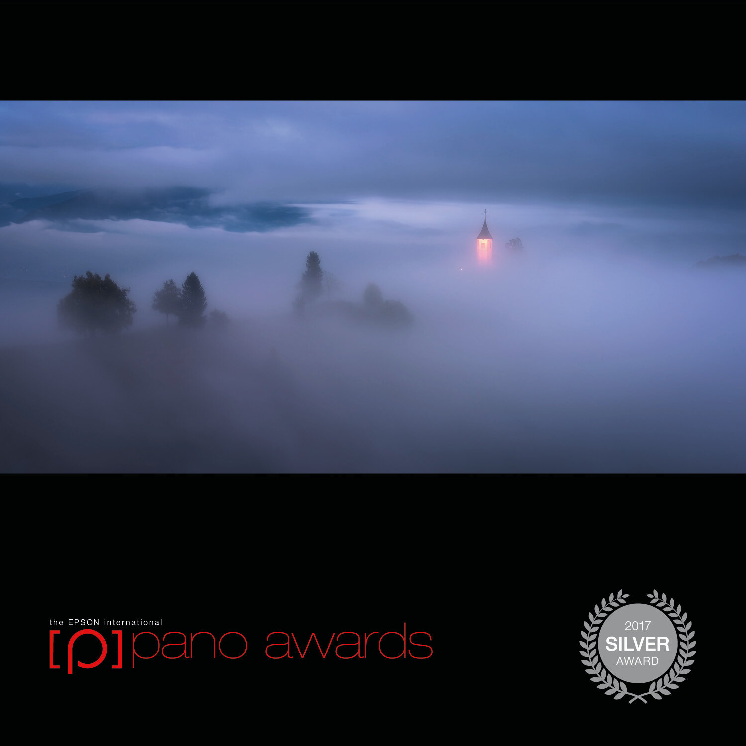 2017-Epson-Pano-Awards-Open-Silver241.jpg