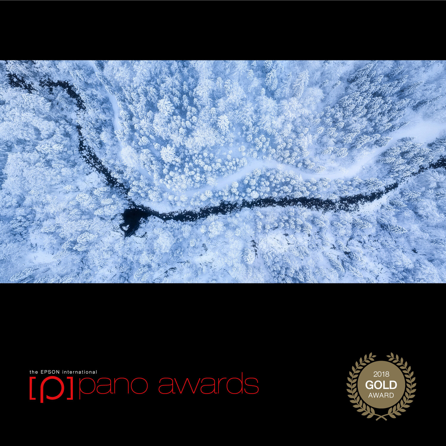 2018-Epson-Pano-Awards-Amateur-Gold-18.jpg