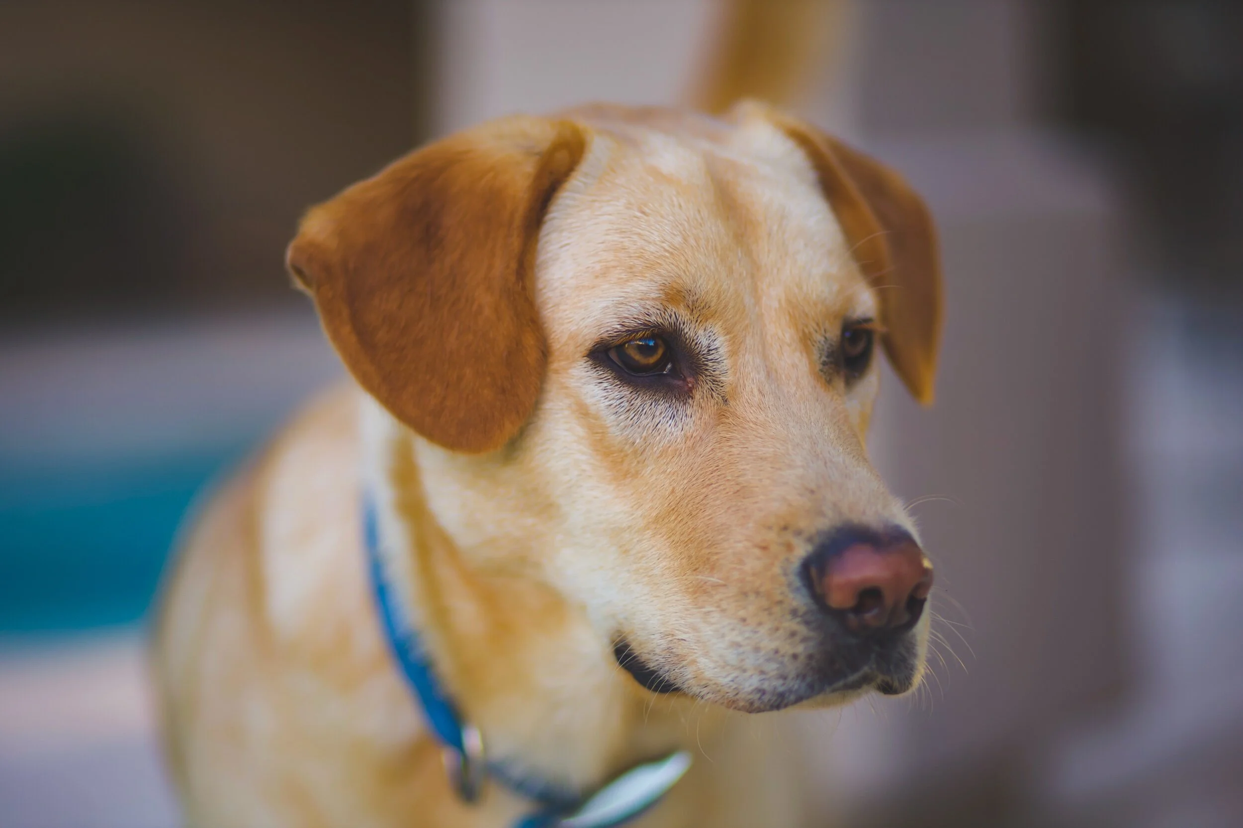 IMG_3664%20(2) 2.jpeg