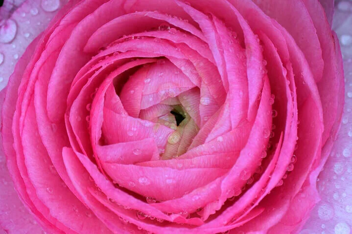 But What If I'm Not Feelin' It ...?