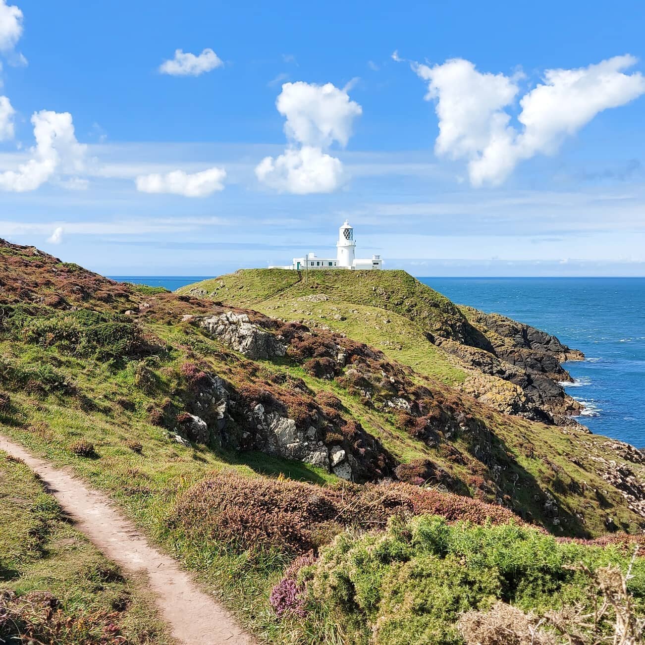 ⚓STRUMBLE HEAD  PENCAER⚓
⁣⁣⁣
Happy September everyone!  And what a beautiful start to the month it's been ☀️⁣
⁣
Today we travelled South to the stunning stretch of @pembscoast ⁣at Strumble Head  Pencaer and enjoyed a walk along the @walescoastpath 👣