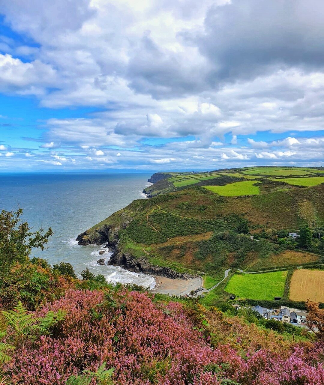 🌊CWMTYDU🌊⁣
⁣
Last Saturday we took a spin to Cwmtydu and walked the @walescoastpath towards Llangrannog with beautiful views of Ynys Lochtyn and across Cardigan Bay 💙⁣
⁣
You can walk in the other direction towards New Quay and see Castell Bach &am