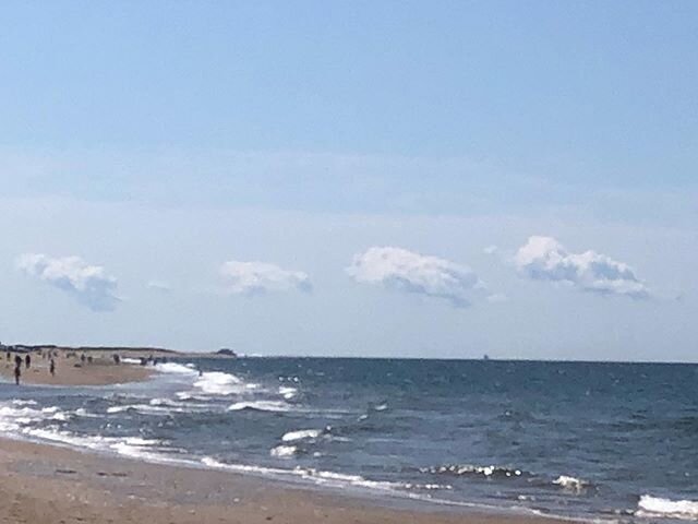 Herring Cove today☀️