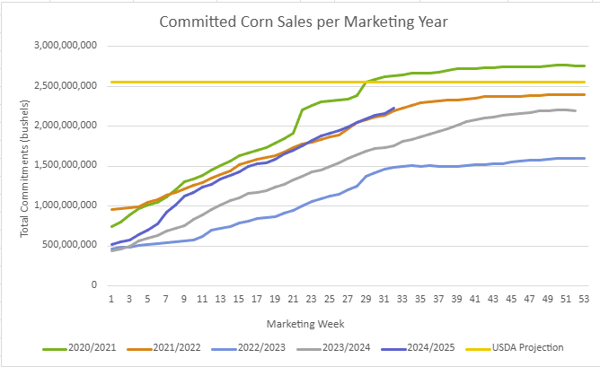 Corn Exports 2024 – 25: More Than on Track? 