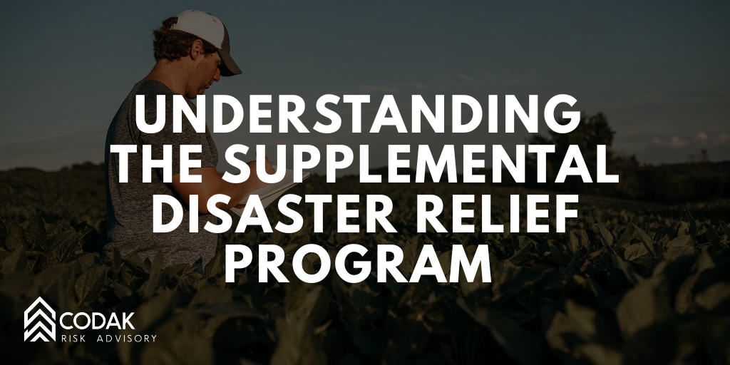 Understanding the Supplemental Disaster Relief Program (SDRP) 