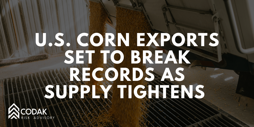 U.S. Corn Exports Set to Break Records as Supply Tightens 