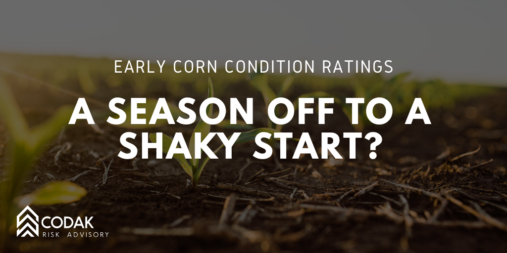 Early Corn Condition Ratings: A Season Off to a Shaky Start? 