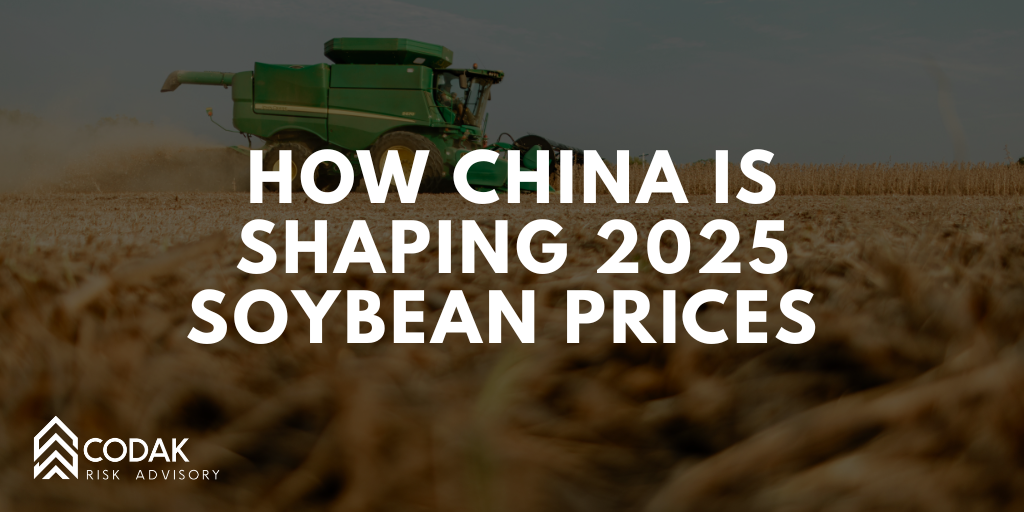 How China Is Shaping 2025 Soybean Prices 
