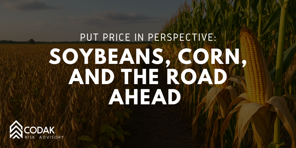 Put Price in Perspective: Soybeans, Corn, and the Road Ahead 