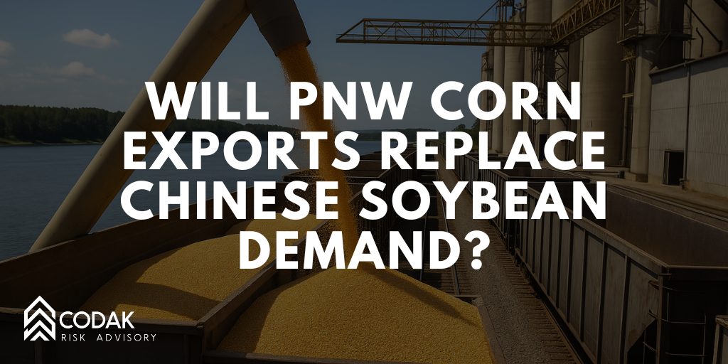 Will PNW Corn Shipments Fill the Void Left by Chinese Soybean Purchases? 
