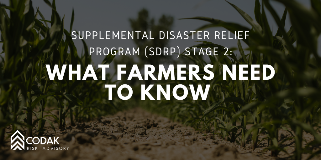 Supplemental Disaster Relief Program (SDRP) Stage 2: What Farmers Need to Know&nbsp;