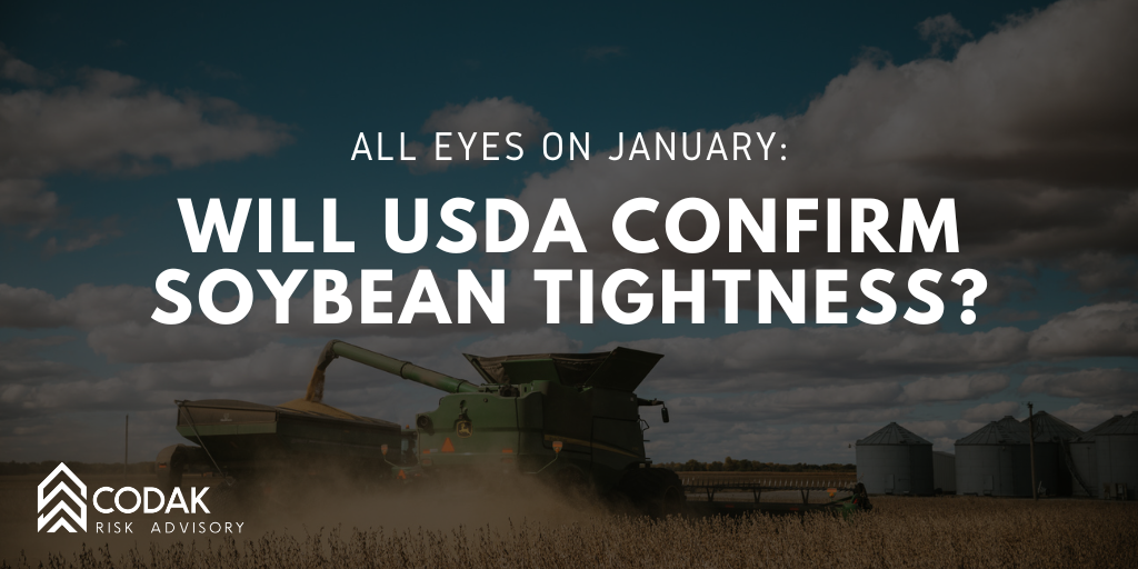 All Eyes on January: Will USDA Confirm Soybean Tightness?
