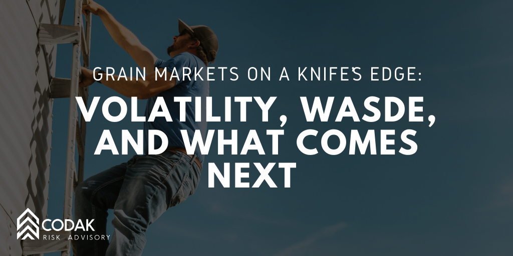 Grain Markets on a Knife’s Edge: Volatility, WASDE, and What Comes Next&nbsp;