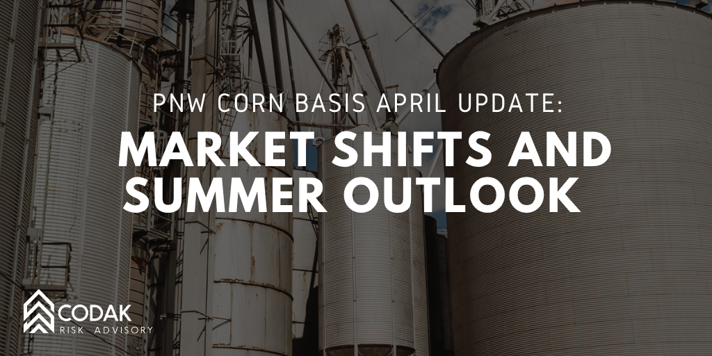 PNW Corn Basis April Update: Market Shifts and Summer Outlook&nbsp;