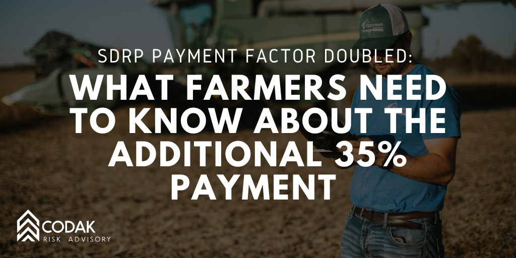SDRP Payment Factor Doubled: What Farmers Need to Know About the Additional 35% Payment&nbsp;