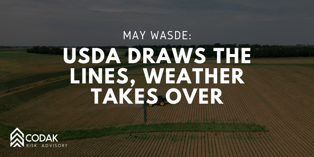 May WASDE: USDA Draws the Lines, Weather Takes Over