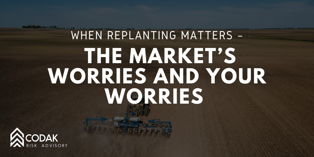 When Replanting Matters – The Market’s Worries and Your Worries&nbsp;