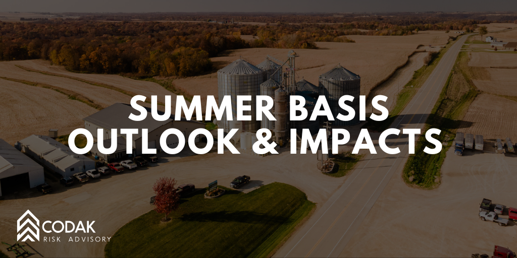 Summer Basis Outlook &amp; Impacts&nbsp;