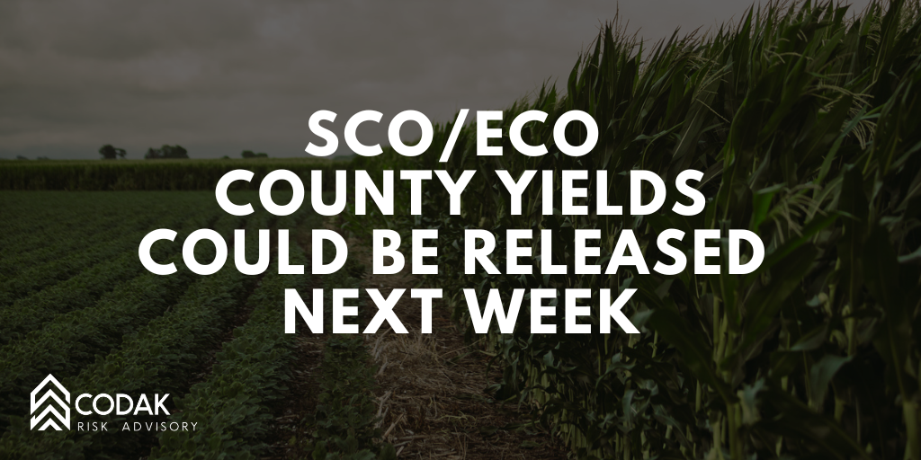 SCO/ECO County Yields Could Be Released Next Week